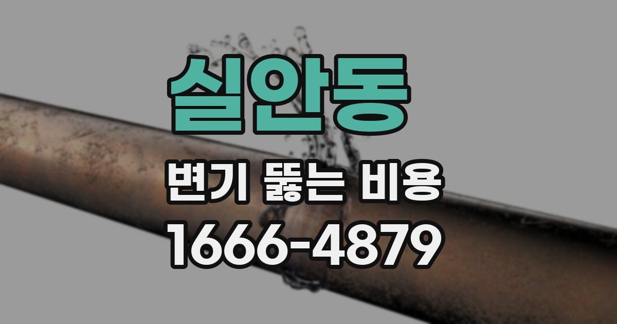 실안동 변기 뚫는 비용