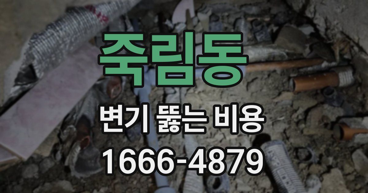 죽림동 변기 뚫는 비용