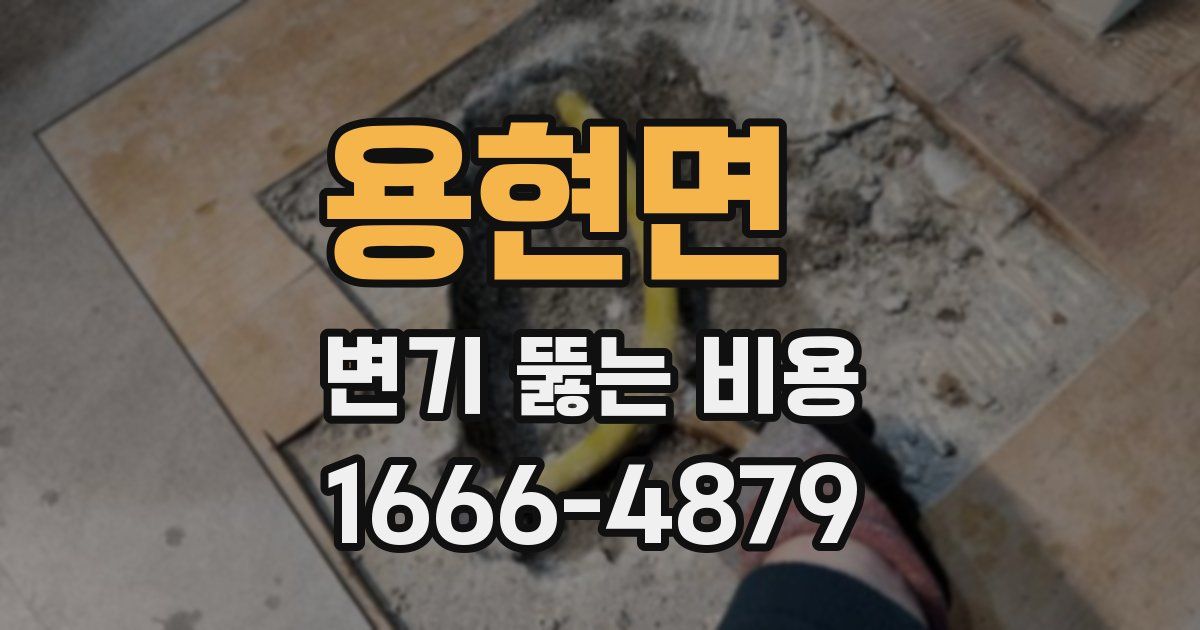 용현면 변기 뚫는 비용