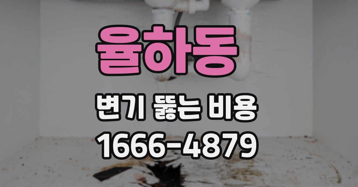 율하동 변기 뚫는 비용