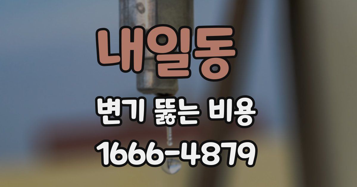 내일동 변기 뚫는 비용