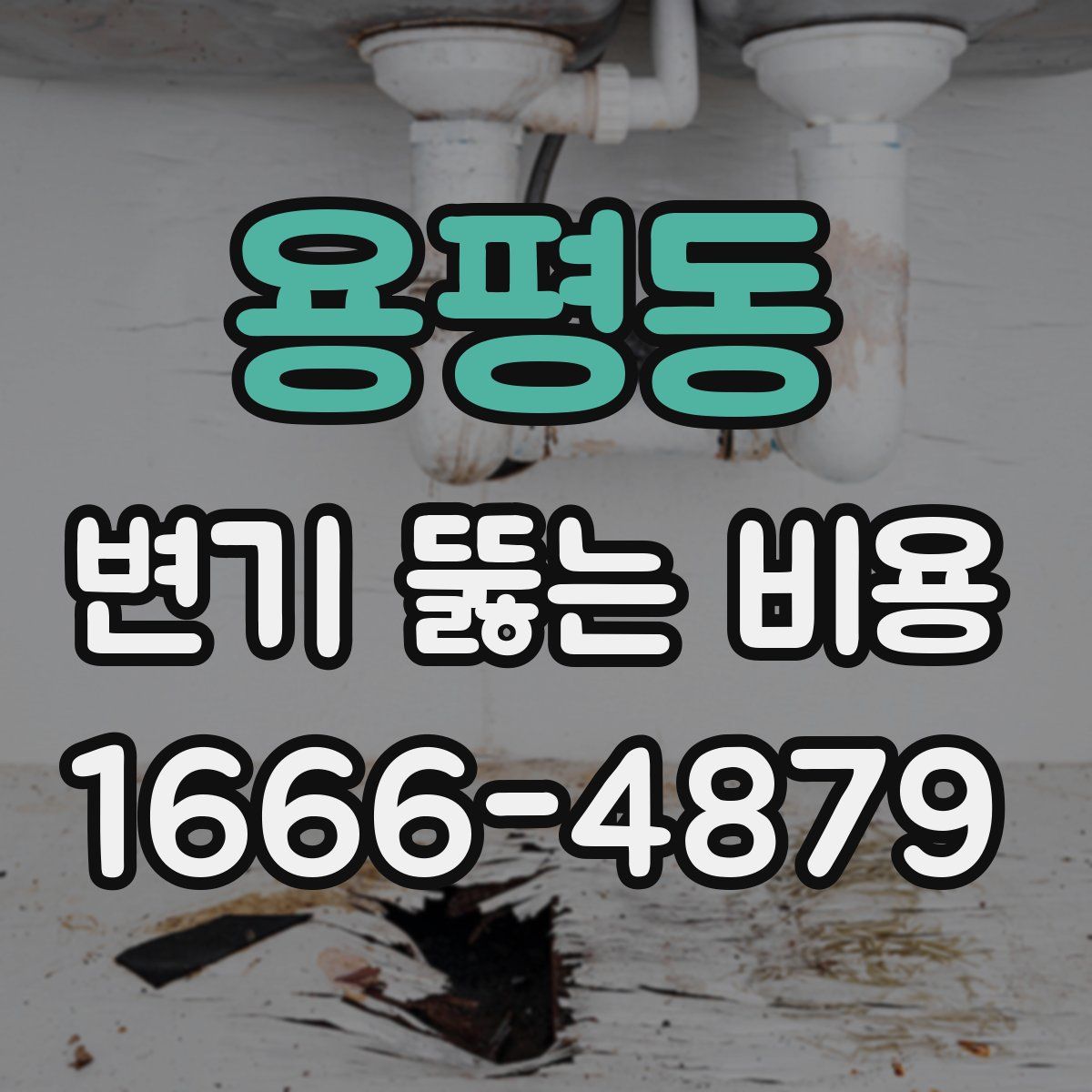 용평동 변기 뚫는 비용