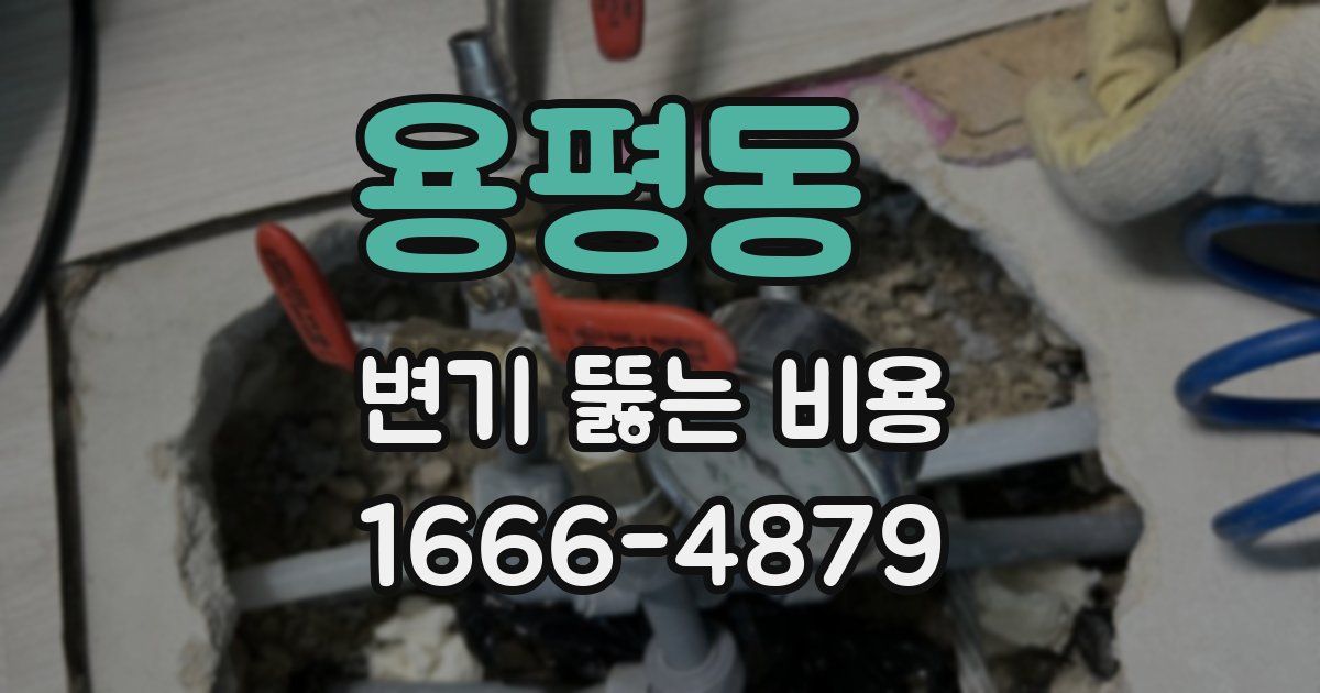 용평동 변기 뚫는 비용