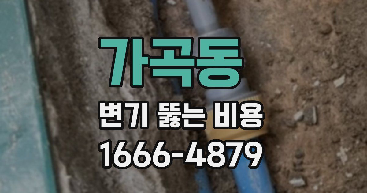 가곡동 변기 뚫는 비용