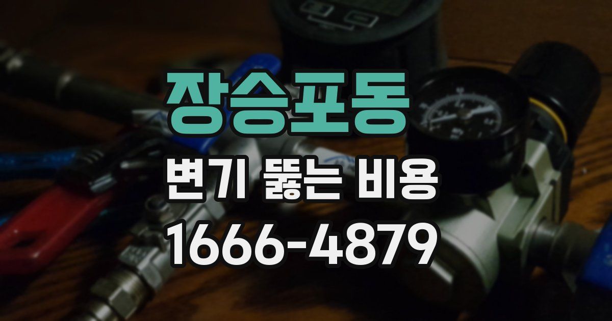 장승포동 변기 뚫는 비용