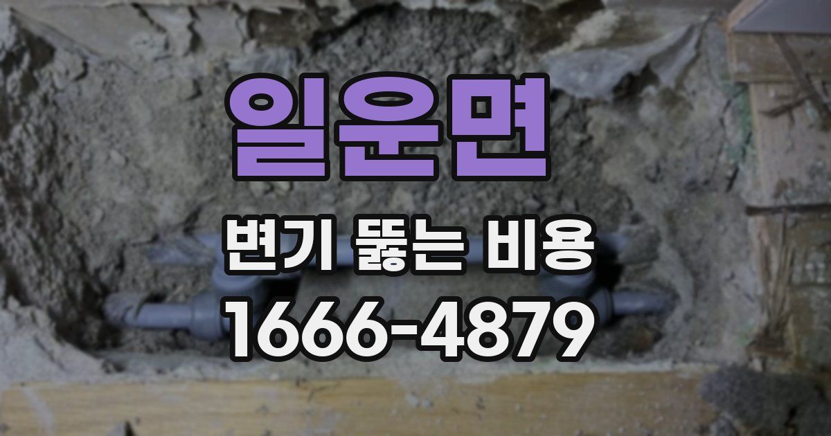 일운면 변기 뚫는 비용