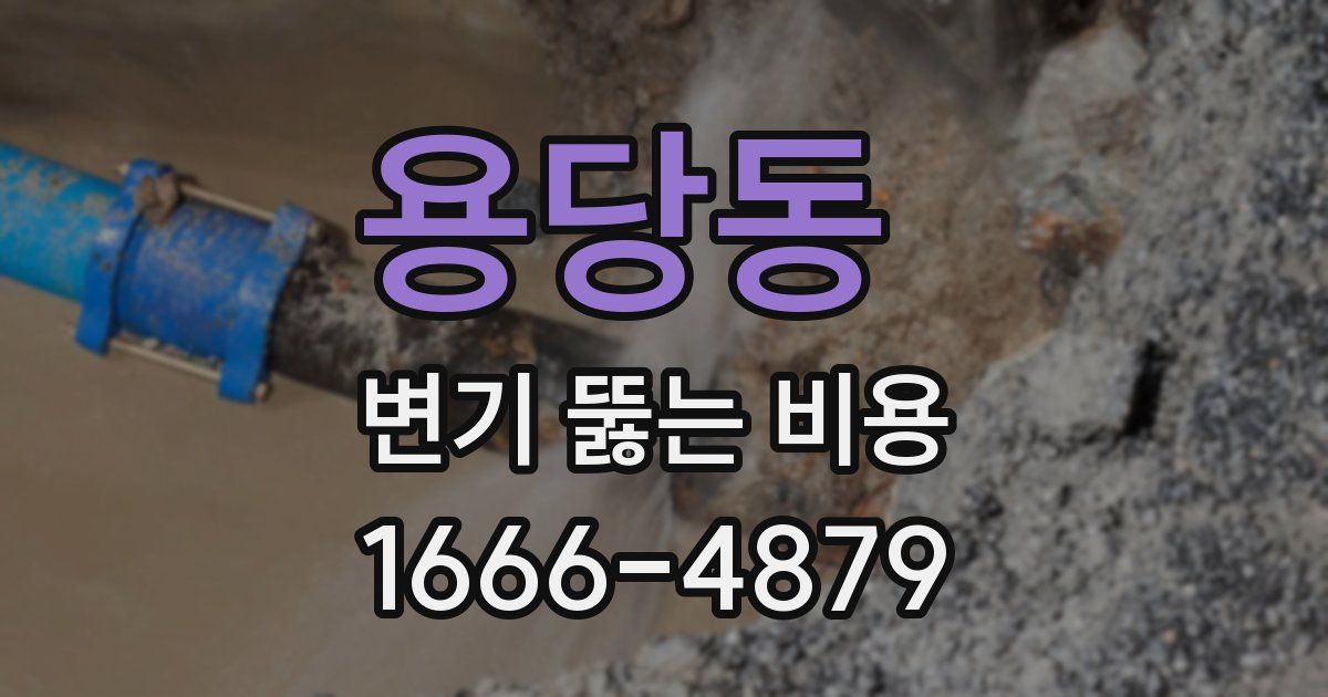용당동 변기 뚫는 비용