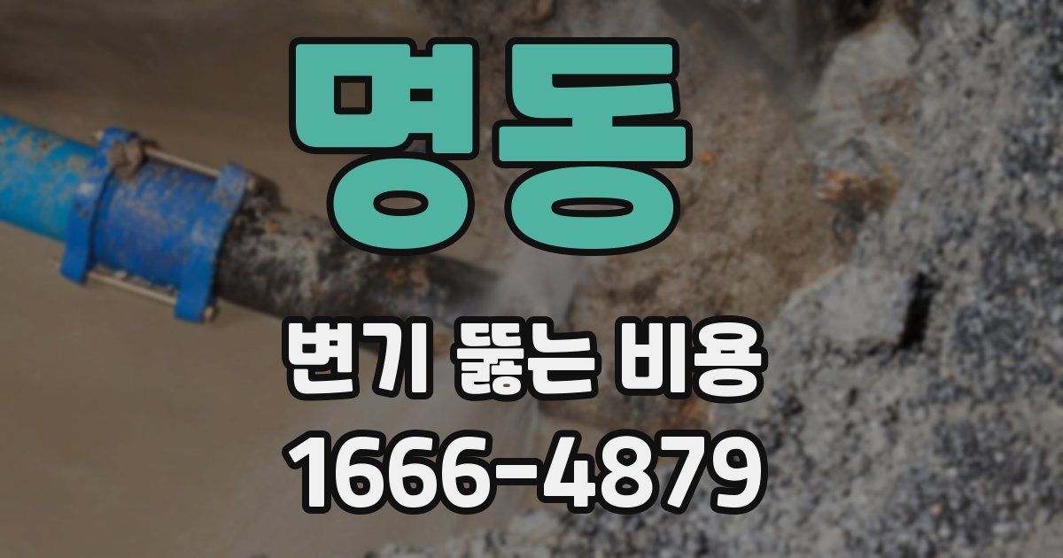 명동 변기 뚫는 비용