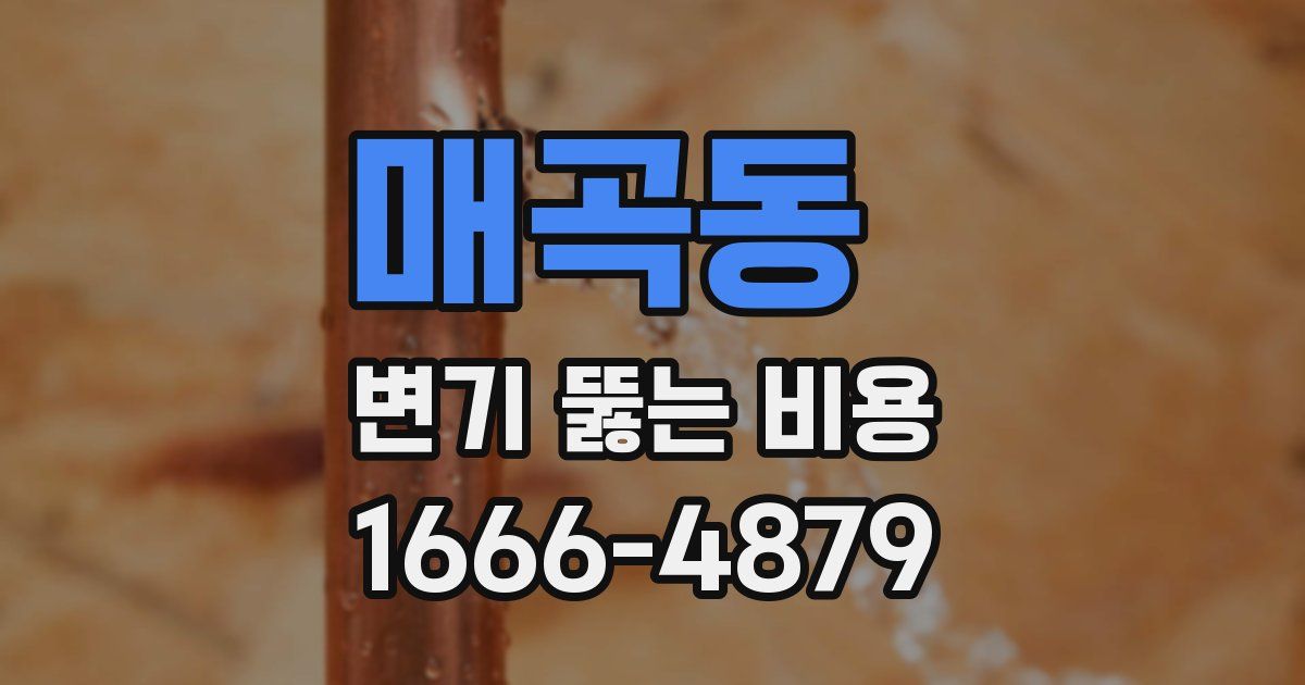 매곡동 변기 뚫는 비용