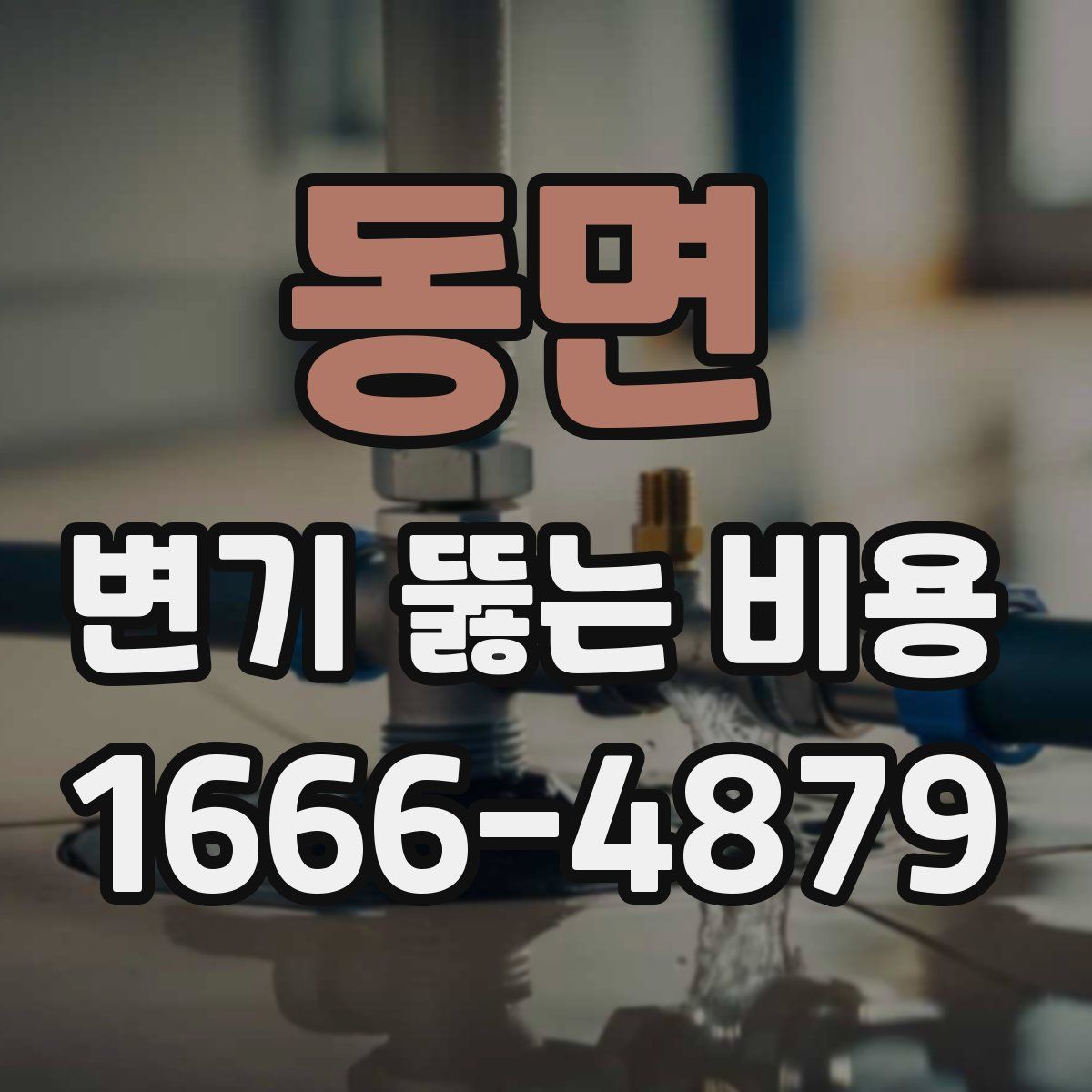 동면 변기 뚫는 비용