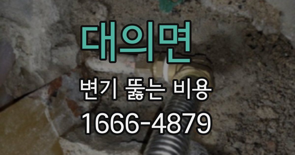 대의면 변기 뚫는 비용