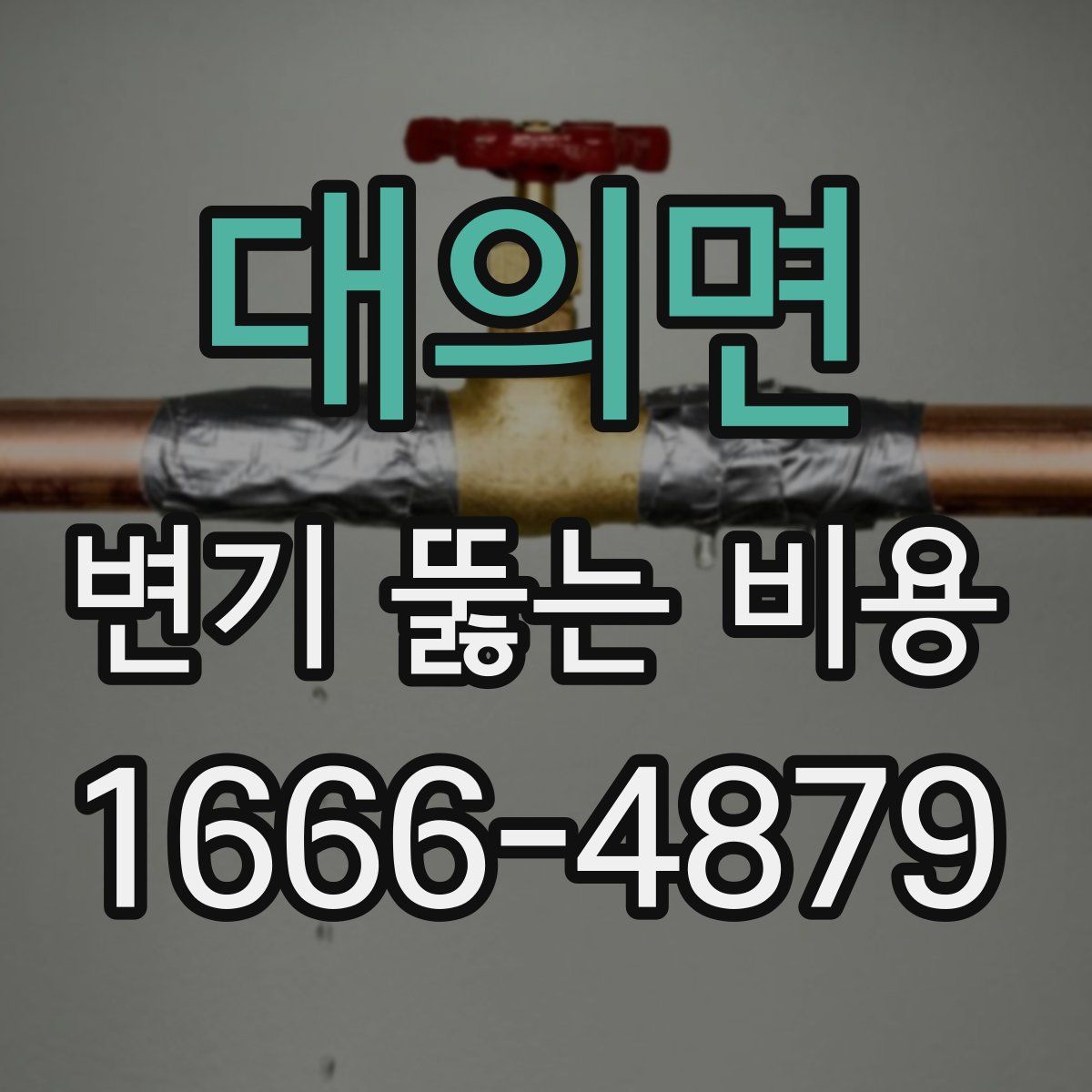 대의면 변기 뚫는 비용