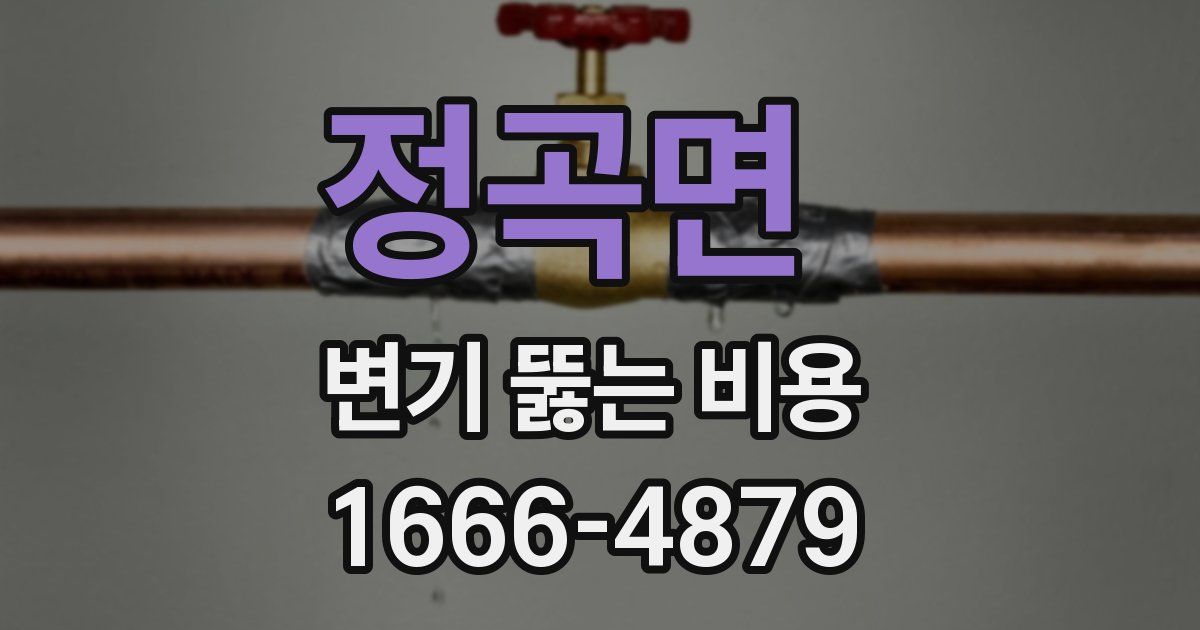 정곡면 변기 뚫는 비용
