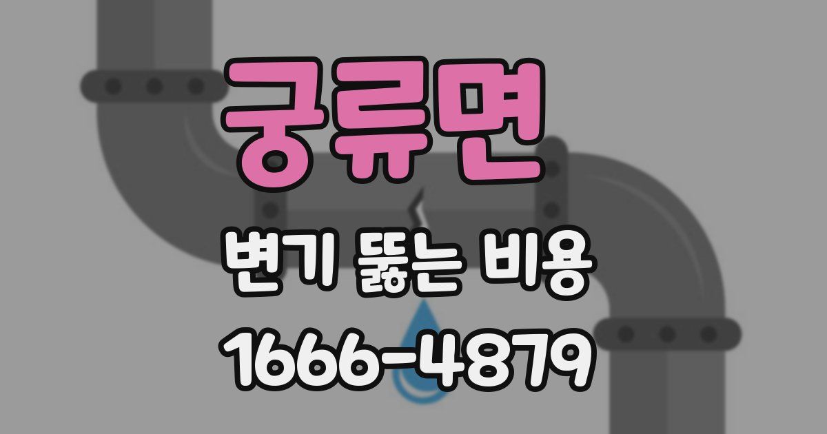 궁류면 변기 뚫는 비용