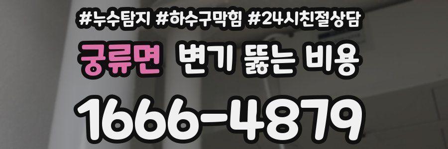 궁류면 변기 뚫는 비용