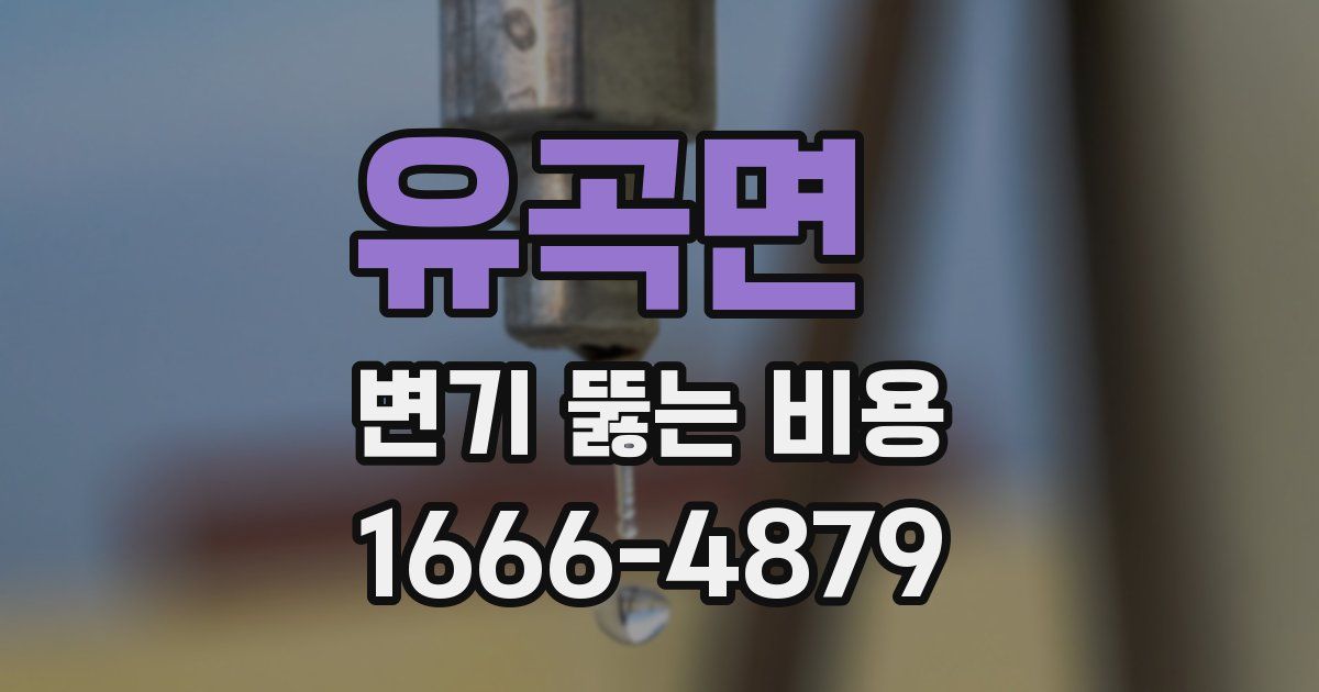 유곡면 변기 뚫는 비용