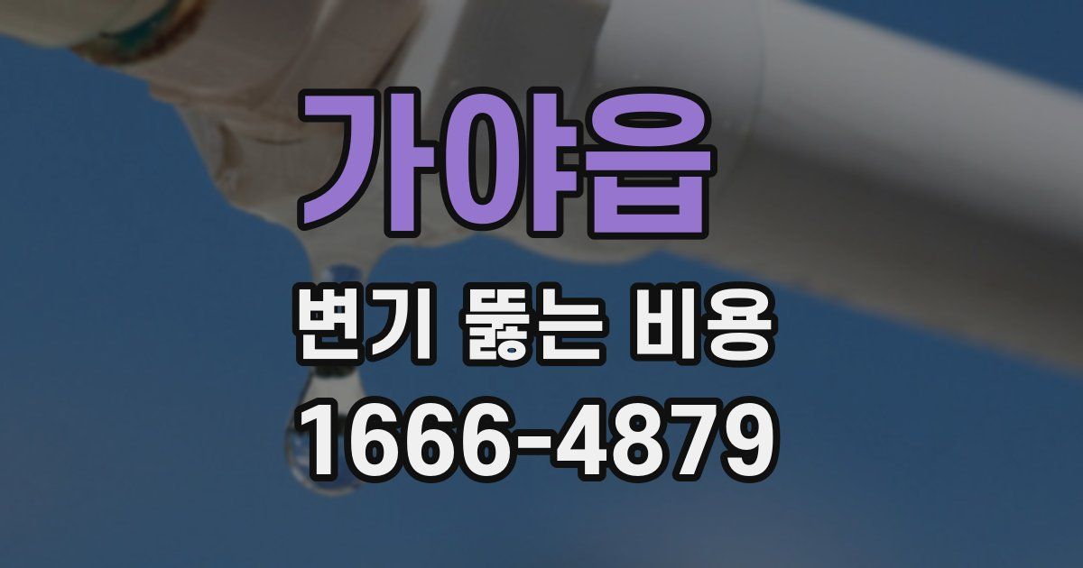 가야읍 변기 뚫는 비용
