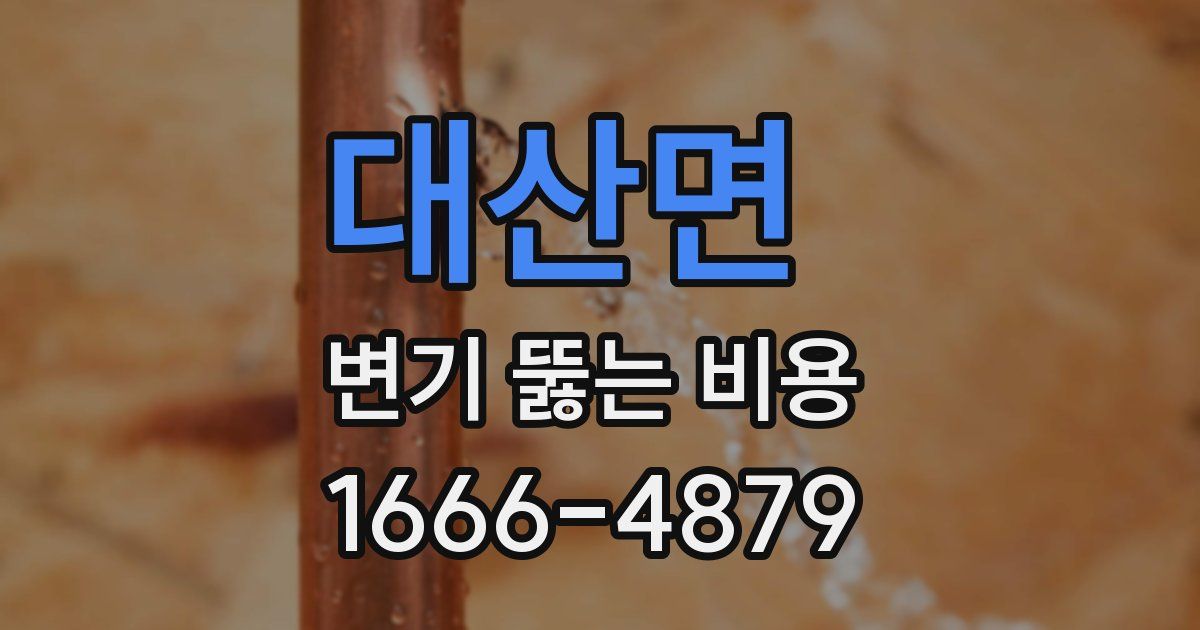 대산면 변기 뚫는 비용