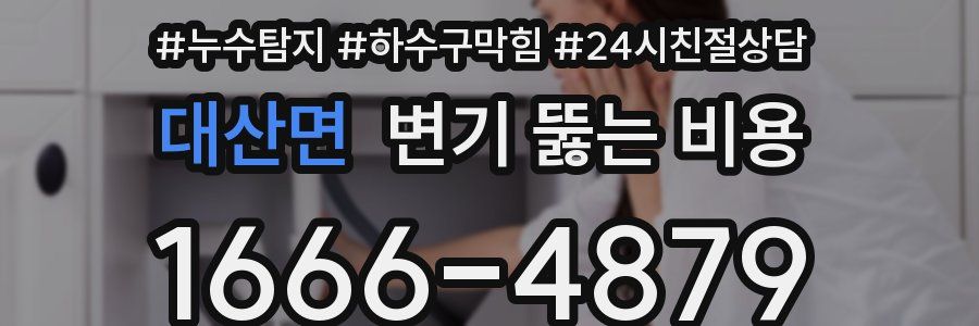 대산면 변기 뚫는 비용
