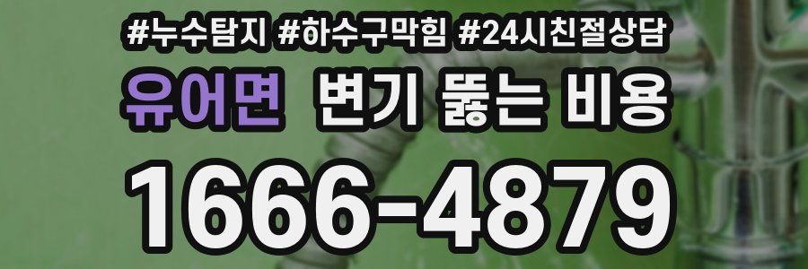 유어면 변기 뚫는 비용