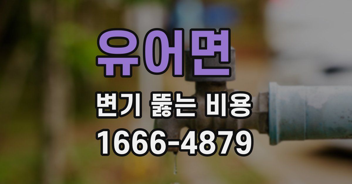 유어면 변기 뚫는 비용