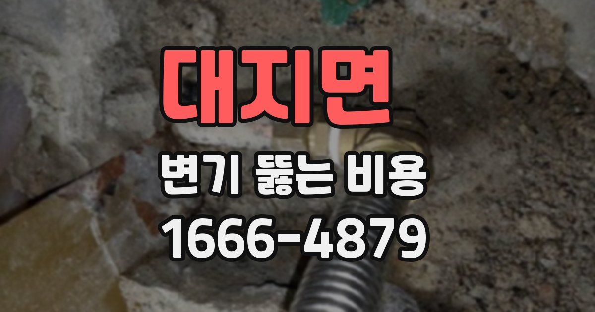 대지면 변기 뚫는 비용