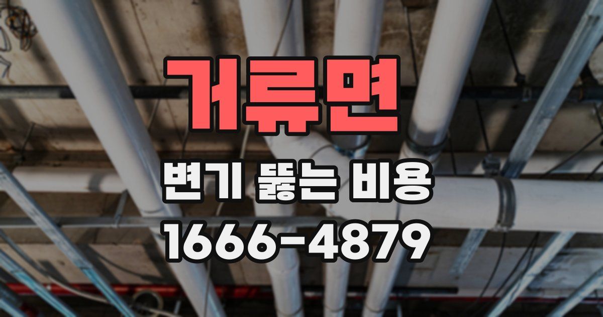 거류면 변기 뚫는 비용