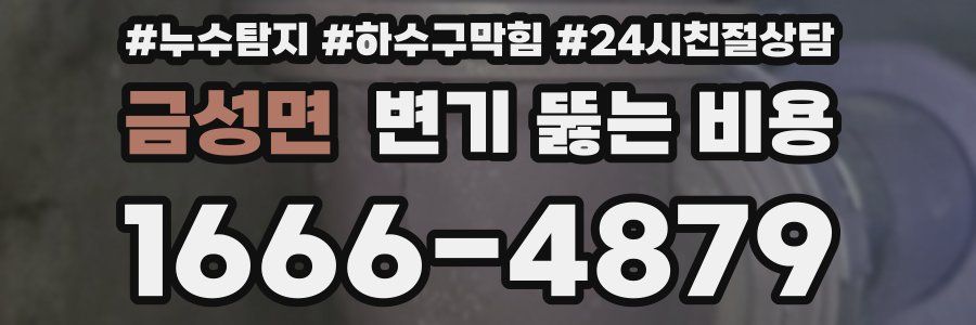 금성면 변기 뚫는 비용