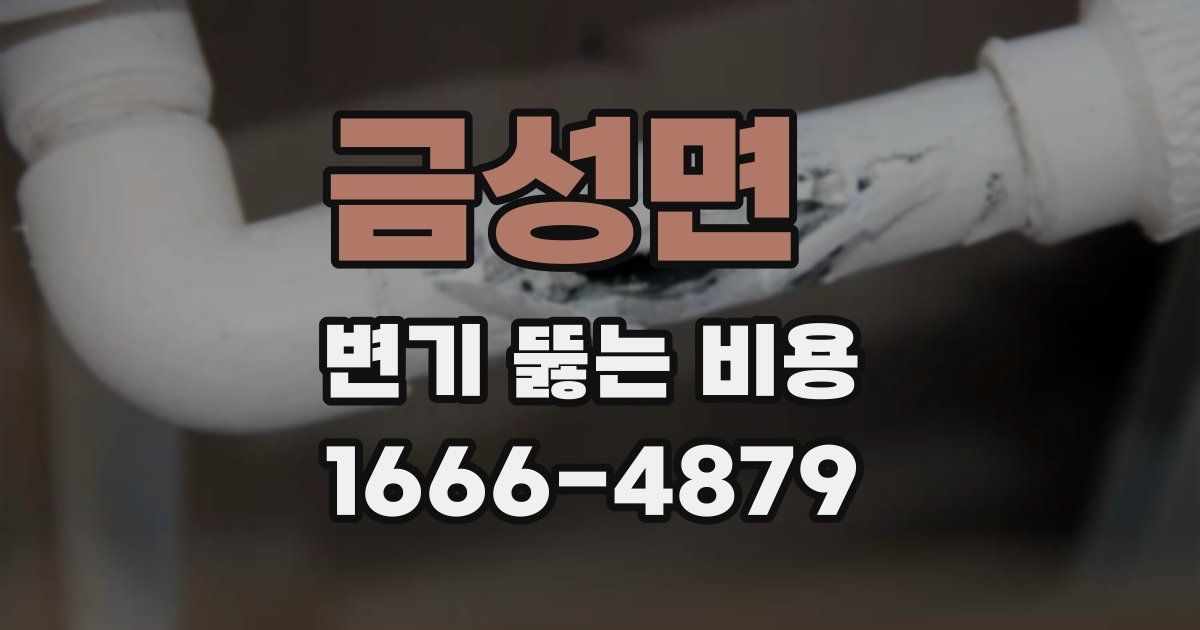 금성면 변기 뚫는 비용