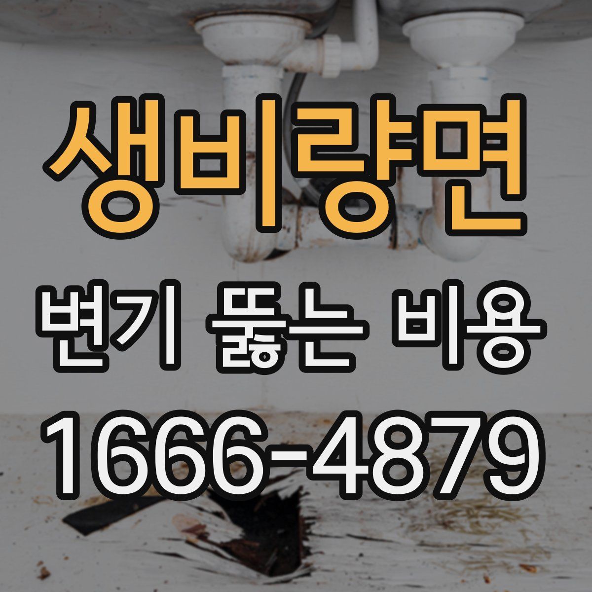 생비량면 변기 뚫는 비용