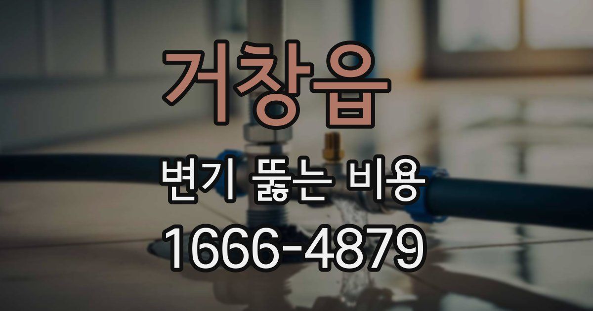 거창읍 변기 뚫는 비용
