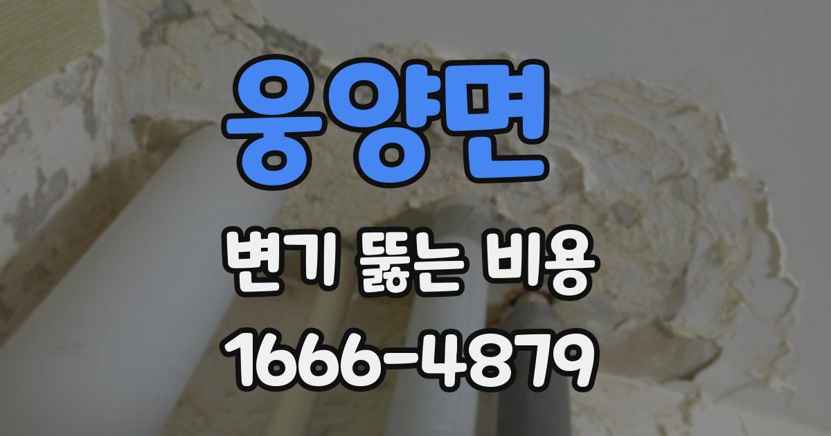 웅양면 변기 뚫는 비용