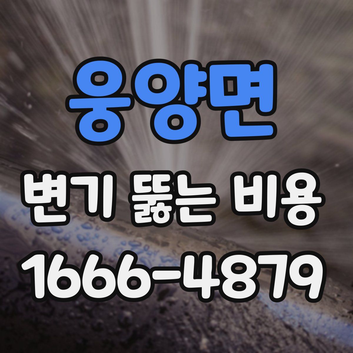 웅양면 변기 뚫는 비용