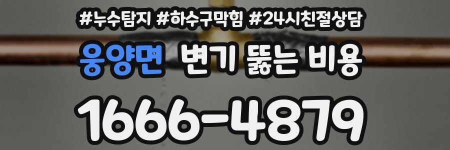 웅양면 변기 뚫는 비용