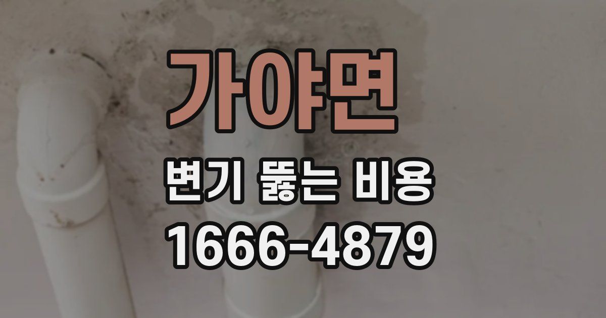 가야면 변기 뚫는 비용