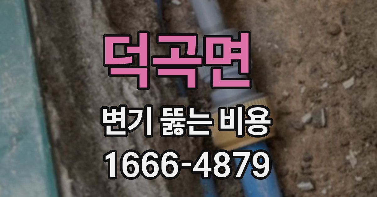 덕곡면 변기 뚫는 비용
