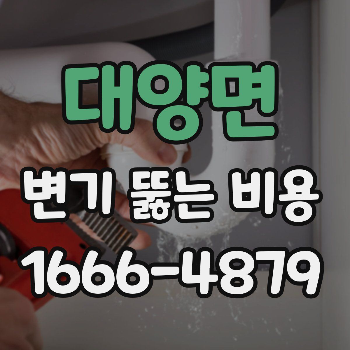 대양면 변기 뚫는 비용