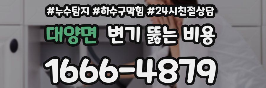 대양면 변기 뚫는 비용