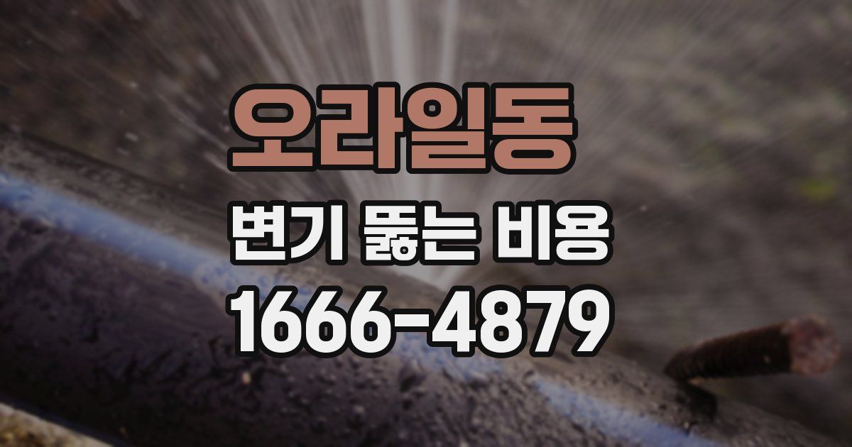 오라일동 변기 뚫는 비용