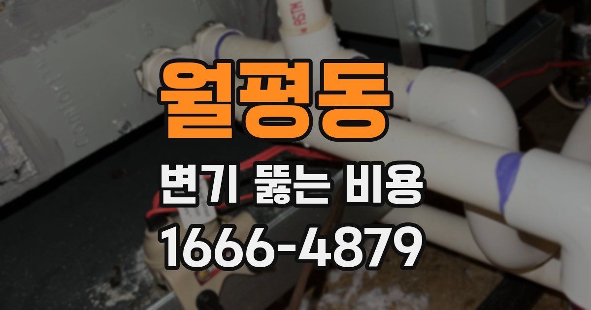 월평동 변기 뚫는 비용