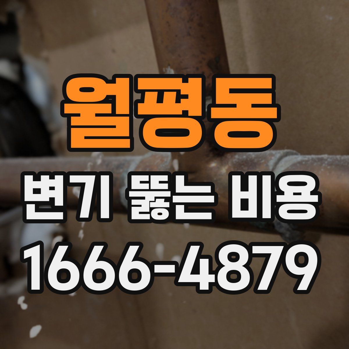 월평동 변기 뚫는 비용
