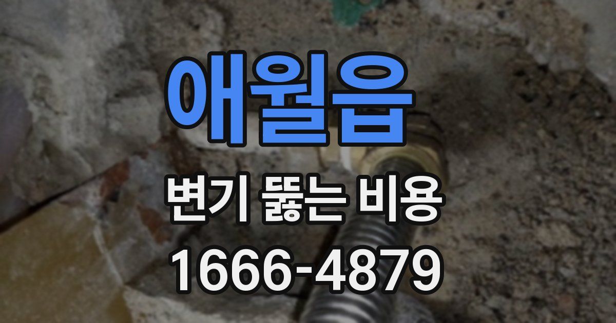 애월읍 변기 뚫는 비용