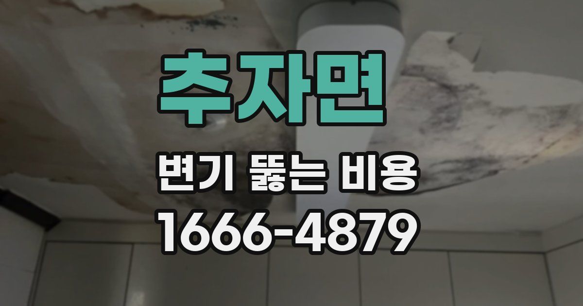 추자면 변기 뚫는 비용