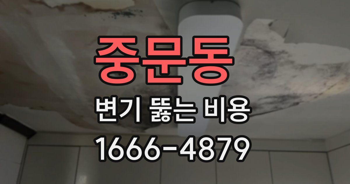 중문동 변기 뚫는 비용