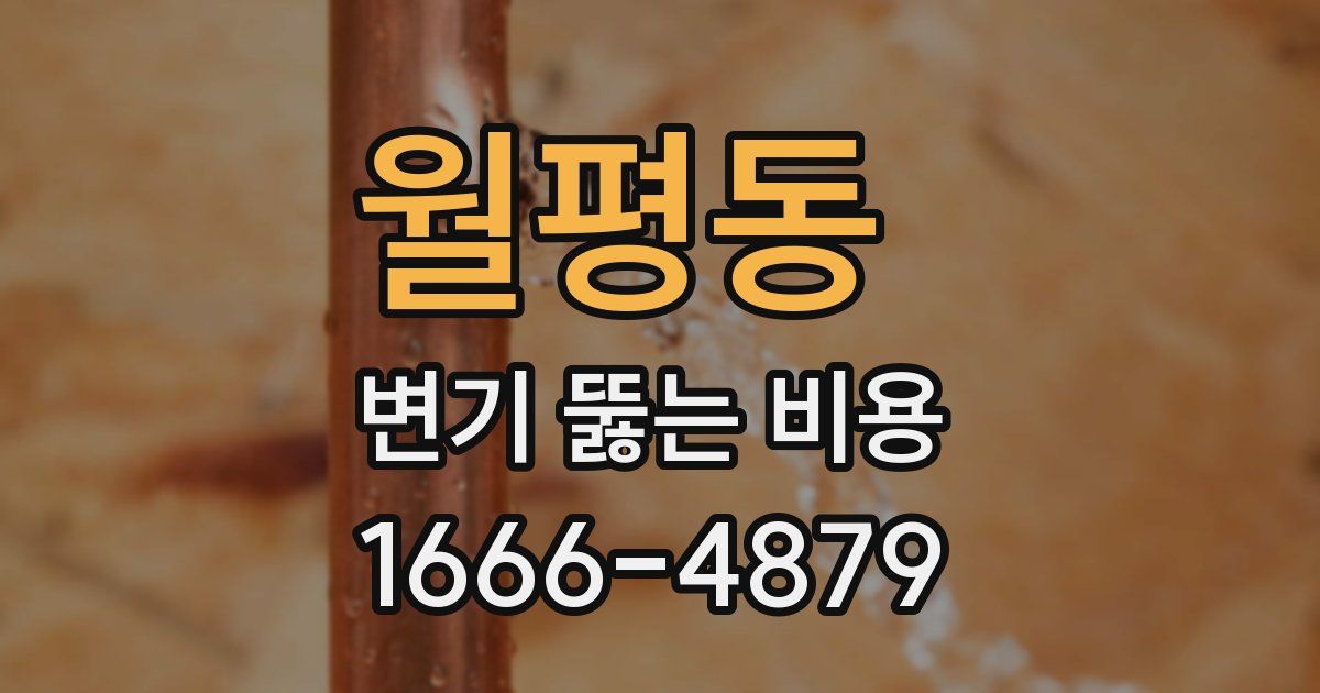 월평동 변기 뚫는 비용
