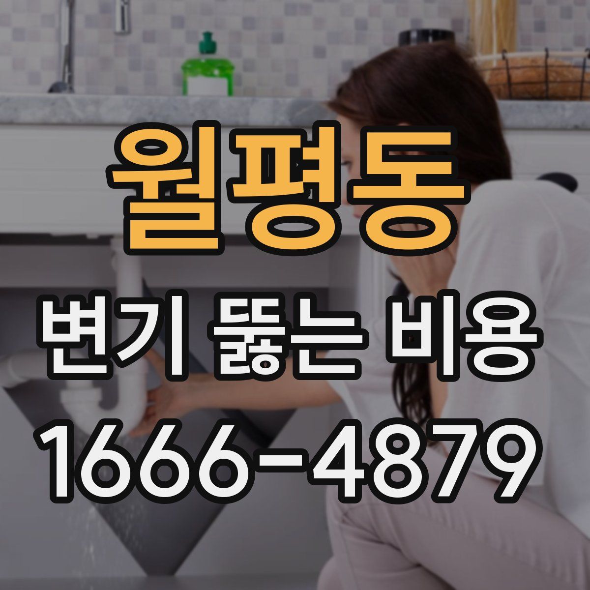 월평동 변기 뚫는 비용