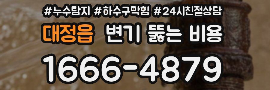 대정읍 변기 뚫는 비용