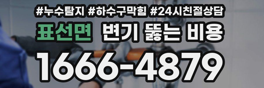 표선면 변기 뚫는 비용