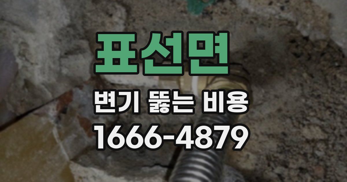 표선면 변기 뚫는 비용