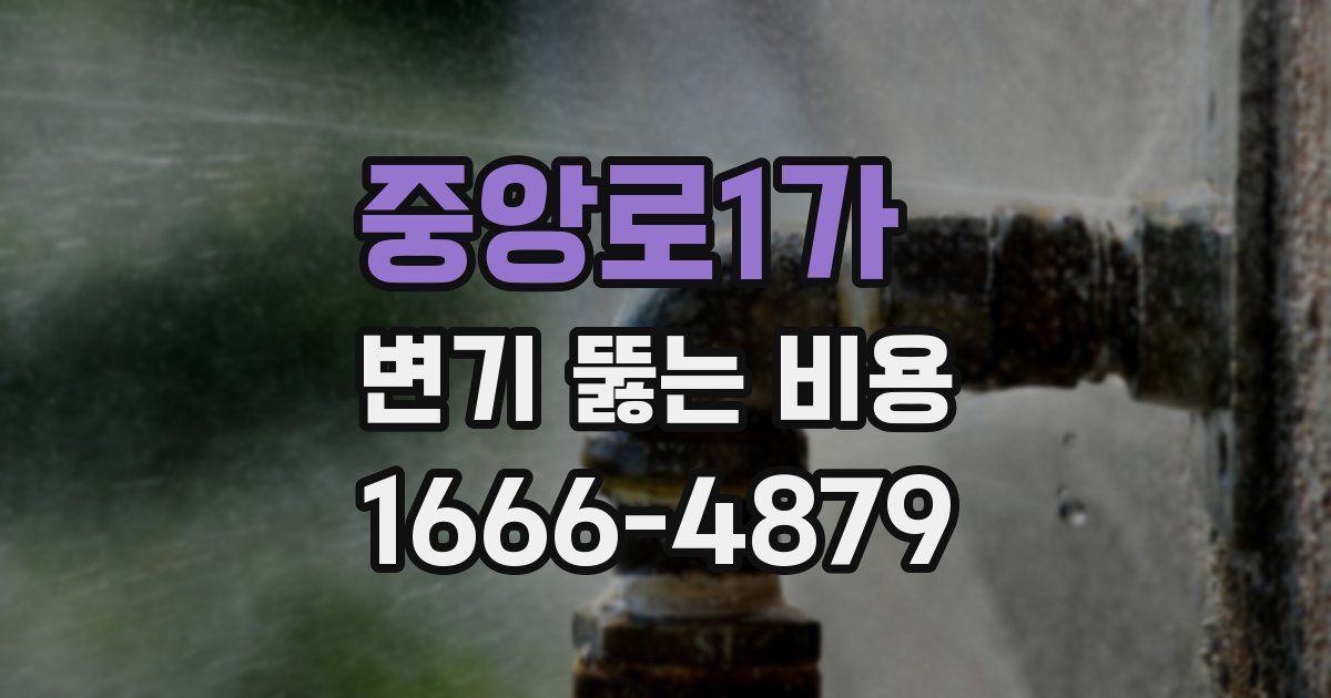 중앙로1가 변기 뚫는 비용